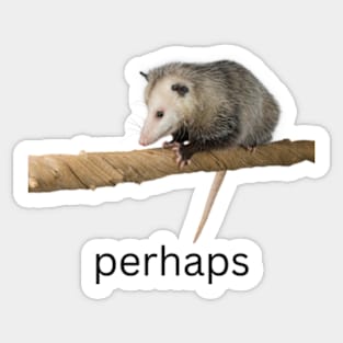 perhaps possum Sticker